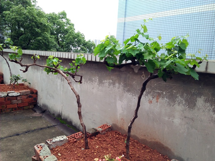 銘仁家具公司